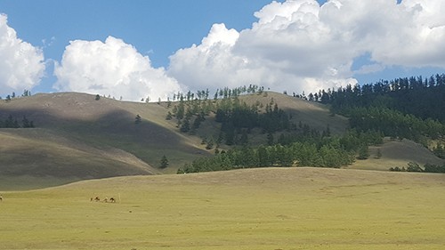               Усан бороо бүтээн байгуулалтад саад тээг болж байна