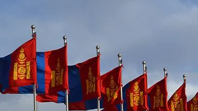 Хуурамч дипломтой багш нарын тал илүү нь “зугтжээ”