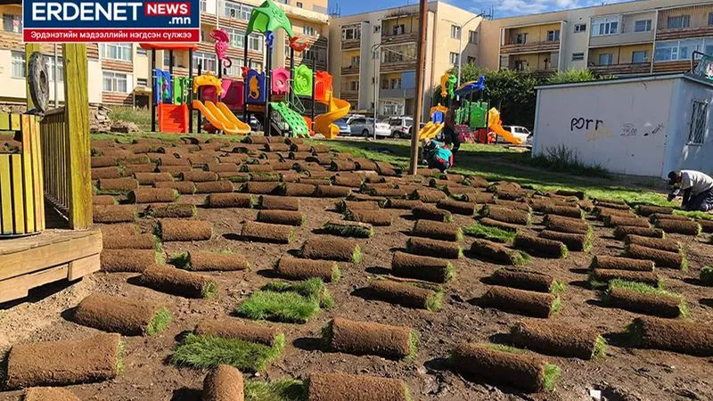 ХУЙЛМАЛ ЗҮЛГИЙГ ЭРДЭНЭТЭД АНХ УДАА ДЭЛГЭН УРГУУЛЛАА